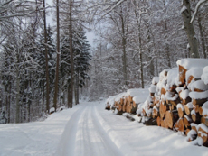 snowy roadway